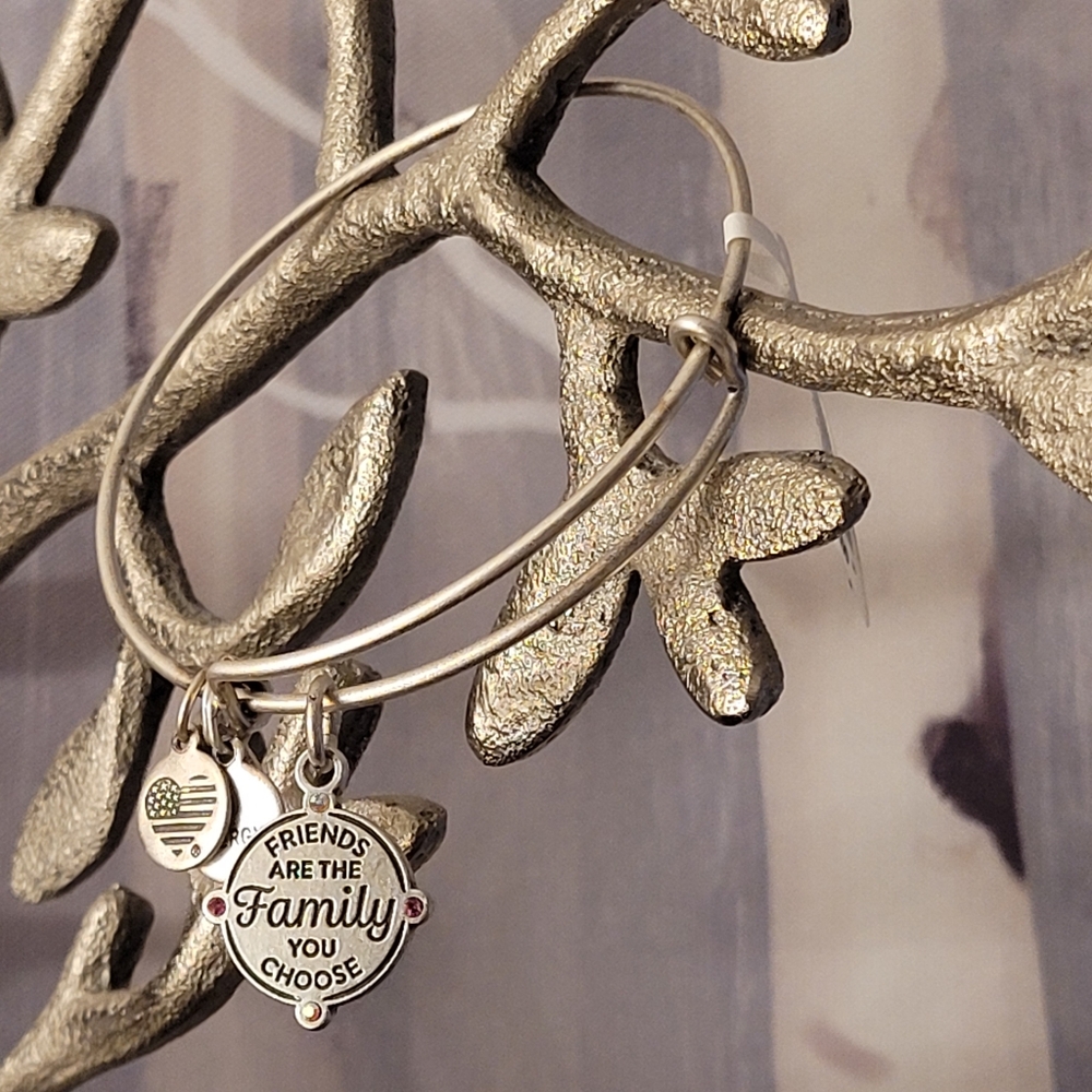 Alex & Ani Friends Are The Family You Choose Charm Bangle Bracelet Silver-tone - Picture 15 of 16